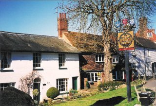 A row of quaint village houses with a tree and a traditional pub sign in front on a sunny day.