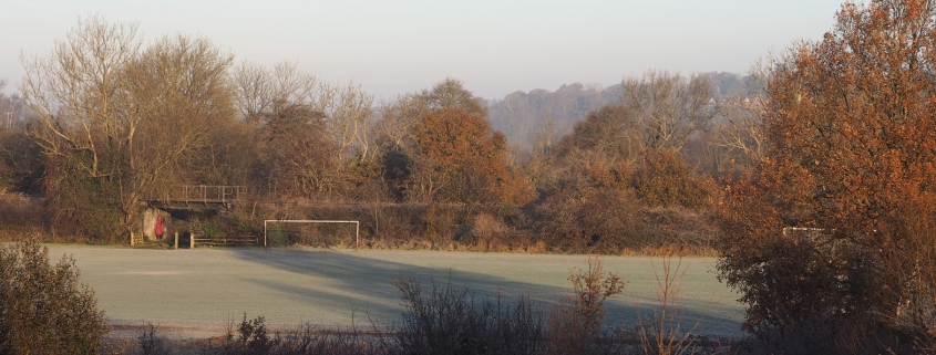 A frosty, empty football pitch surrounded by trees with autumn foliage under a clear sky.