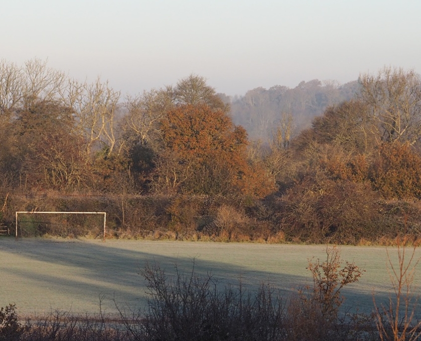 A frosty, empty football pitch surrounded by trees with autumn foliage under a clear sky.