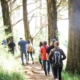 people walking on dirt road between trees during daytime