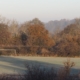 Frosty football pitch surrounded by trees with autumn leaves under a clear sky in the morning light.