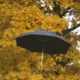 floating black umbrella